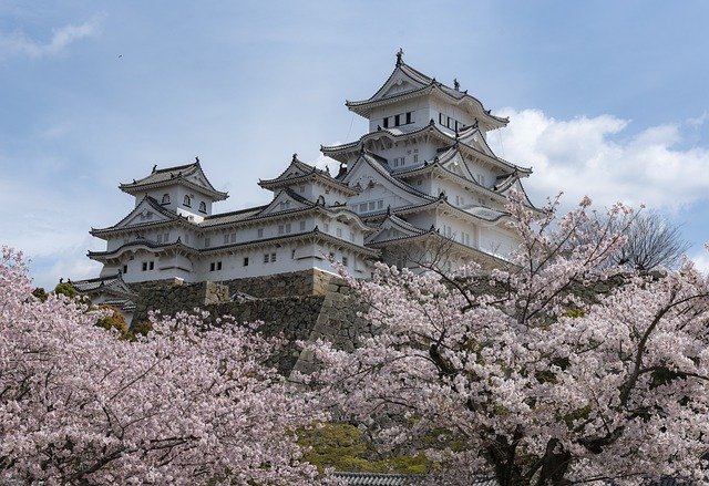 Pourquoi devez-vous partir à la découverte du Japon ?